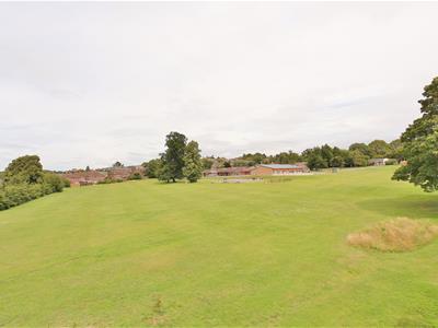 Picture 14